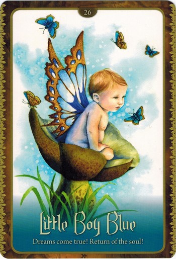 Ý nghĩa lá Little Boy Blue trong bộ Wild Wisdom of The Faery Oracle
