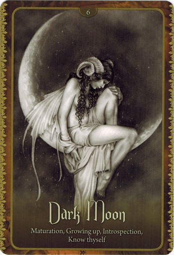 Ý nghĩa lá Dark Moon trong bộ Wild Wisdom of The Faery Oracle
