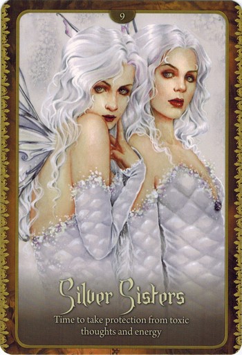 Ý nghĩa lá Silver Sisters trong bộ Wild Wisdom of The Faery Oracle