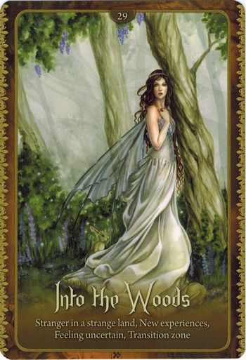 Ý nghĩa lá Into the Woods trong bộ Wild Wisdom of The Faery Oracle