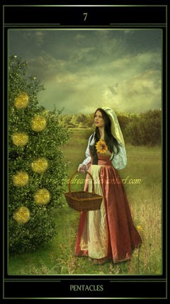 seven_of_pentacles_by_thelemadreams-d6lkhdk