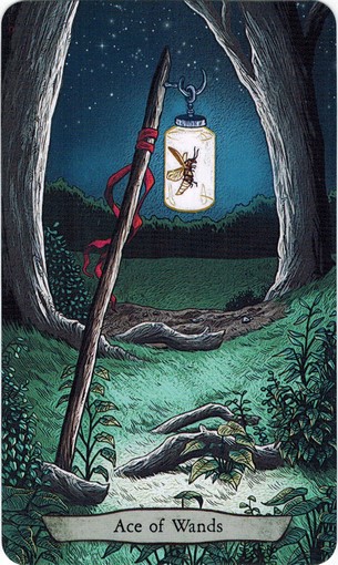 Ý nghĩa lá Ace of Wands trong bộ bài Animal Totem Tarot