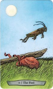 Animal Totem Tarot - Sách Hướng Dẫn