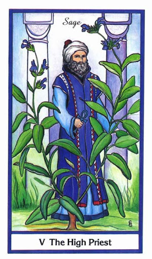 Ý nghĩa lá The High Priest trong bộ bài Herbal Tarot