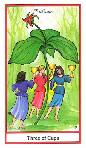 Ý nghĩa lá 3 of Cups trong bộ bài Herbal Tarot