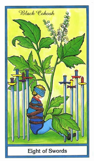 Ý nghĩa lá 8 of Swords trong bộ bài Herbal Tarot