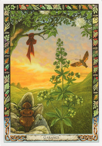 Druid Plant Oracle - Sách Hướng Dẫn 18