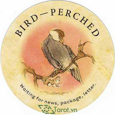 Ý nghĩa lá Bird-Perched trong bộ bài Tea Leaf Fortune Cards