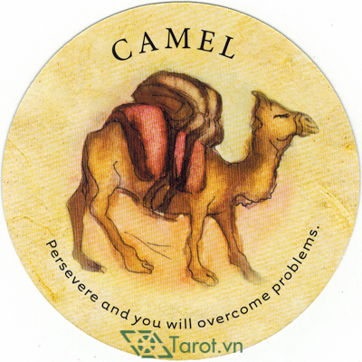 Ý nghĩa lá Camel trong bộ bài Tea Leaf Fortune Cards