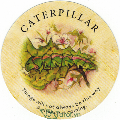 Ý nghĩa lá Caterpillar trong bộ bài Tea Leaf Fortune Cards
