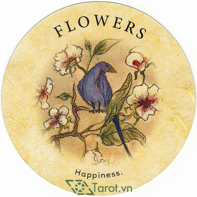 Ý nghĩa lá Flowers trong bộ bài Tea Leaf Fortune Cards