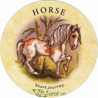 Lá Horse – Bộ Bài Tea Leaf Fortune Cards