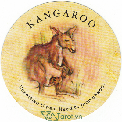 Lá Kangaroo – Bộ Bài Tea Leaf Fortune Cards