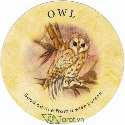 Ý nghĩa lá Owl trong bộ bài Tea Leaf Fortune Cards