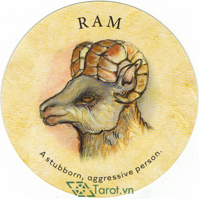 Ý nghĩa lá Ram trong bộ bài Tea Leaf Fortune Cards