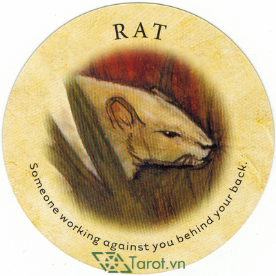 Ý nghĩa lá Rat trong bộ bài Tea Leaf Fortune Cards