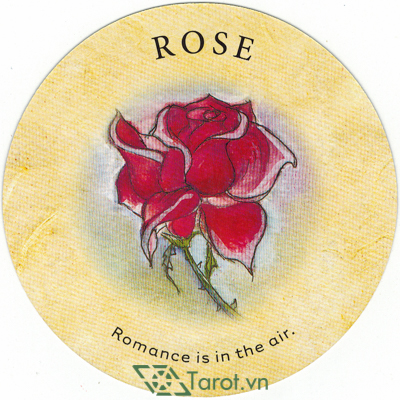 Ý nghĩa lá Rose trong bộ bài Tea Leaf Fortune Cards