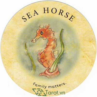Ý nghĩa lá Sea Horse trong bộ bài Tea Leaf Fortune Cards