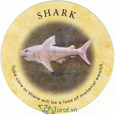 Ý nghĩa lá Shark trong bộ bài Tea Leaf Fortune Cards