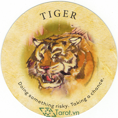 Ý nghĩa lá Tiger trong bộ bài Tea Leaf Fortune Cards