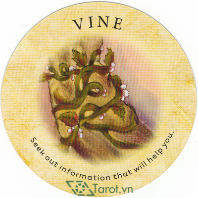 Ý nghĩa lá Vine trong bộ bài Tea Leaf Fortune Cards