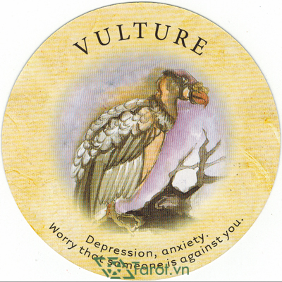 Ý nghĩa lá Vulture trong bộ bài Tea Leaf Fortune Cards