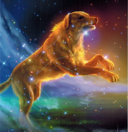 Lá 23. Canis Major – Astrology Oracle Cards