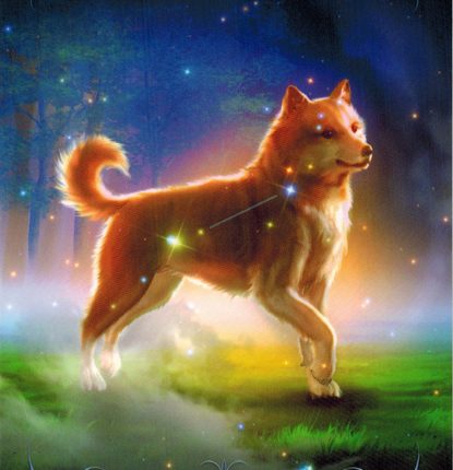 Lá 24. Canis Minor – Astrology Oracle Cards
