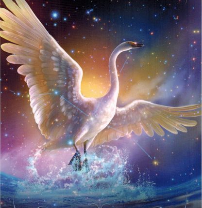 Lá 29. Cygnus – Astrology Oracle Cards