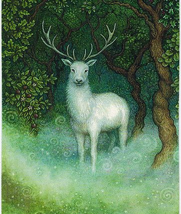 Forest of Enchantment Tarot – The White Hart