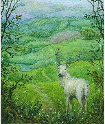 Forest Of Enchantment Tarot – The Wide World