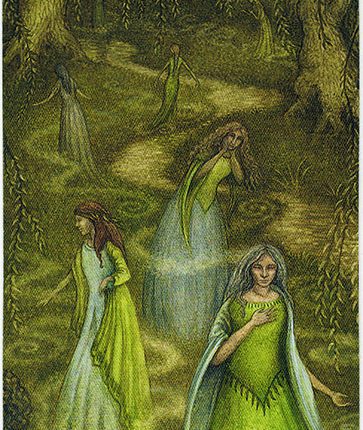 Forest of Enchantment Tarot – 8 of Visions