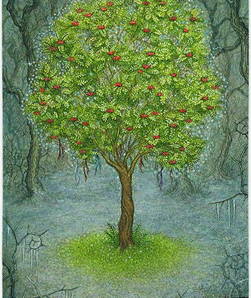 Forest of Enchantment Tarot – 4 of Challenges