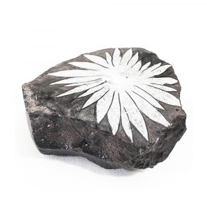Danh Sách Các Loại Tinh Thể: Chrysanthemum Stone 1