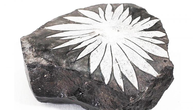 Danh Sách Các Loại Tinh Thể: Chrysanthemum Stone