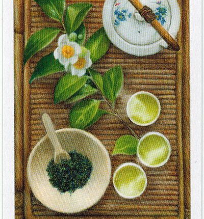 The Herbcrafter’s Tarot – Temperance