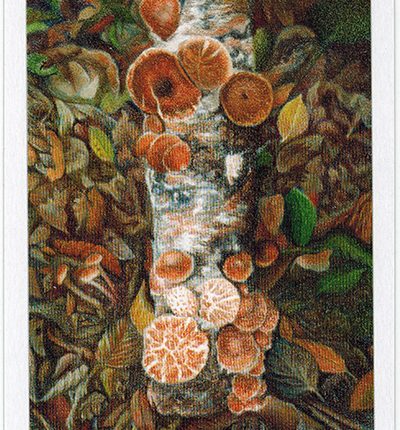 The Herbcrafter’s Tarot – The Tower
