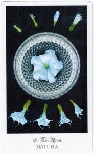 The Herbcrafter’s Tarot – The Moon 1