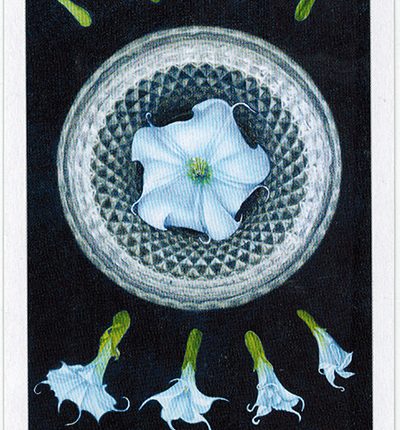 The Herbcrafter’s Tarot – The Moon