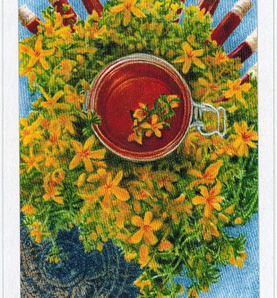 The Herbcrafter’s Tarot – The Sun