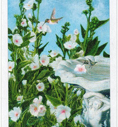 The Herbcrafter’s Tarot – Two Of Water