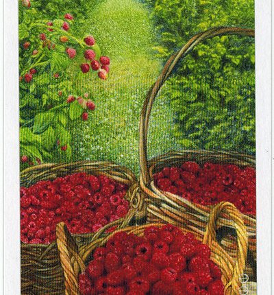 The Herbcrafter’s Tarot – Three Of Earth