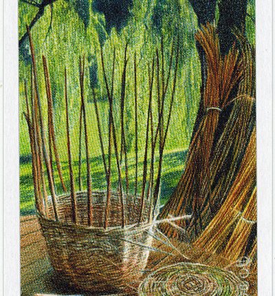 The Herbcrafter’s Tarot – Four Of Earth