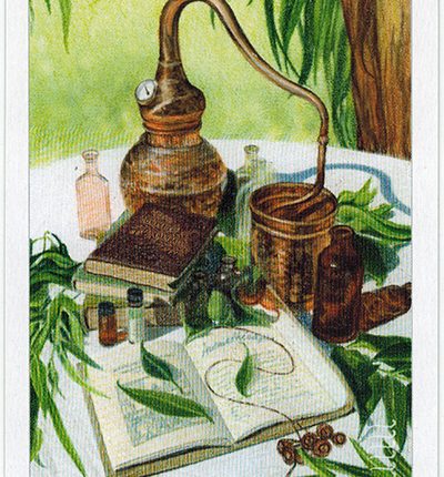 The Herbcrafter’s Tarot – Seven Of Air