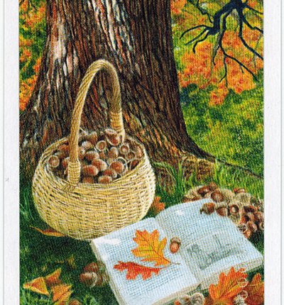 The Herbcrafter’s Tarot – Seven Of Earth