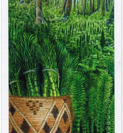 The Herbcrafter’s Tarot – Ten Of Earth