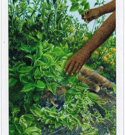 The Herbcrafter’s Tarot – Hija Of Air