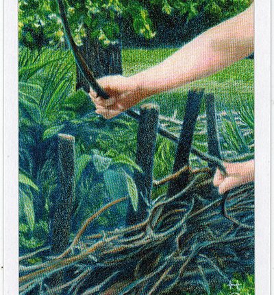 The Herbcrafter’s Tarot – Hija Of Earth
