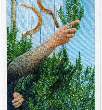 The Herbcrafter’s Tarot – Curandera Of Air