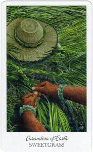 The Herbcrafter’s Tarot – Curandera Of Earth 1